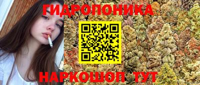 таблы Кингисепп