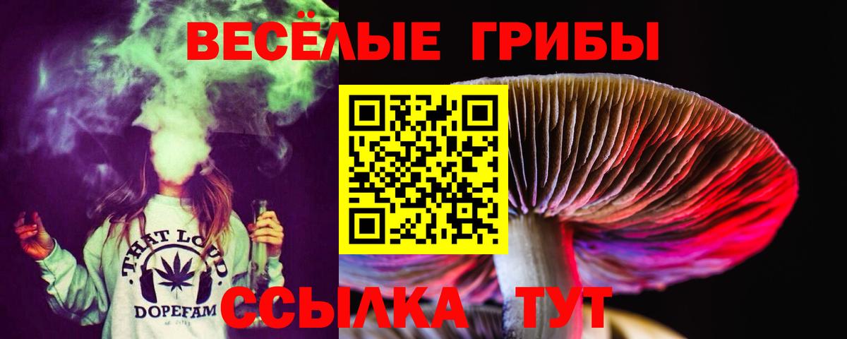 Псилоцибиновые грибы мухоморы Карпинск